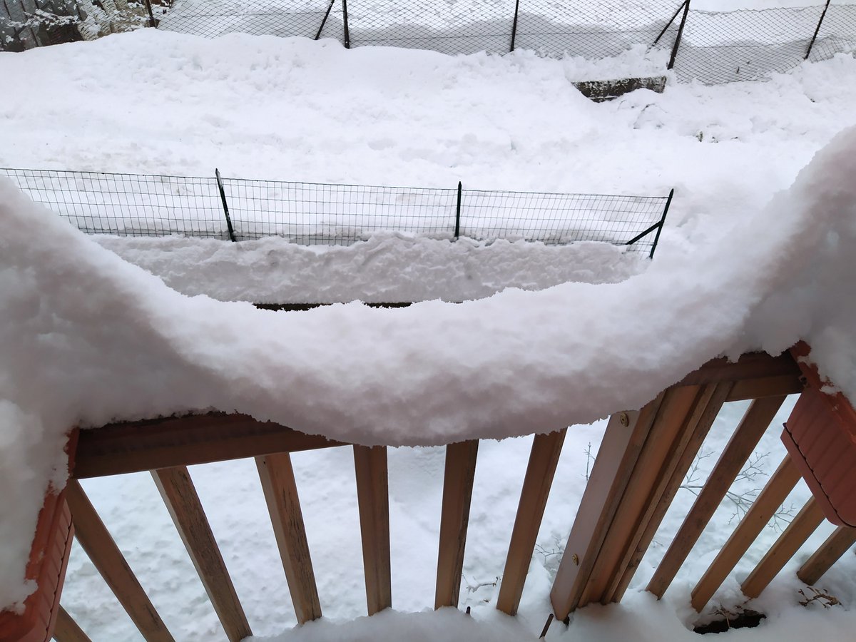 Giuseppe_Jurman's tweet image. A snowy saddle point on my balcony... and a snowy smooth manifold in the backyard #geometryinnature