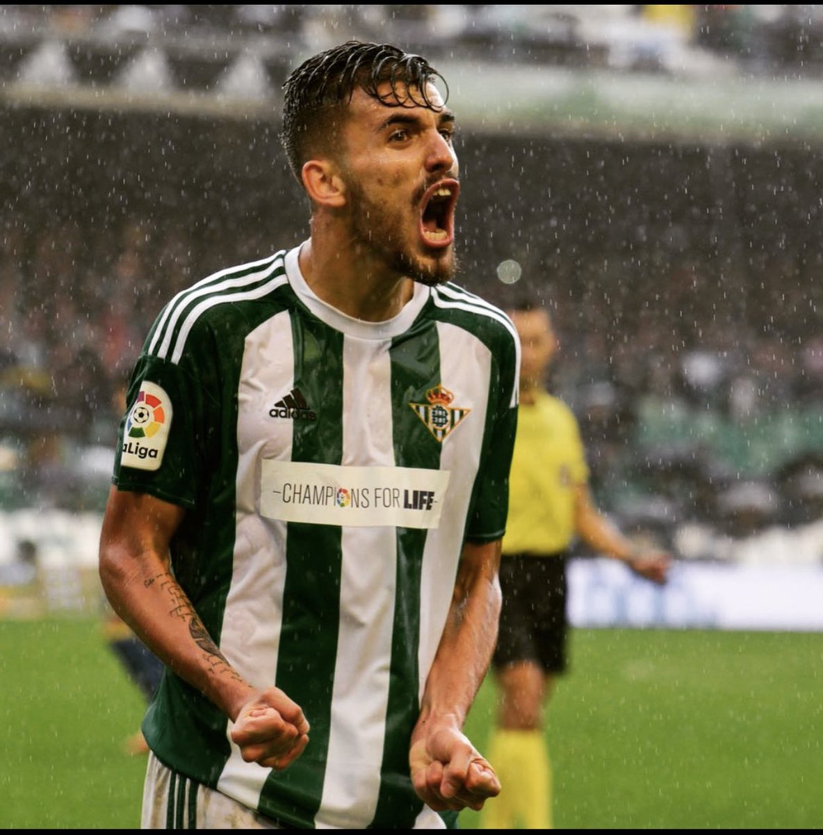 DaniCeballos46's tweet photo. No estáis solos.¡AVANTI BETIS! 👊🏽💚 https://t.co/gqHFvoXgR3