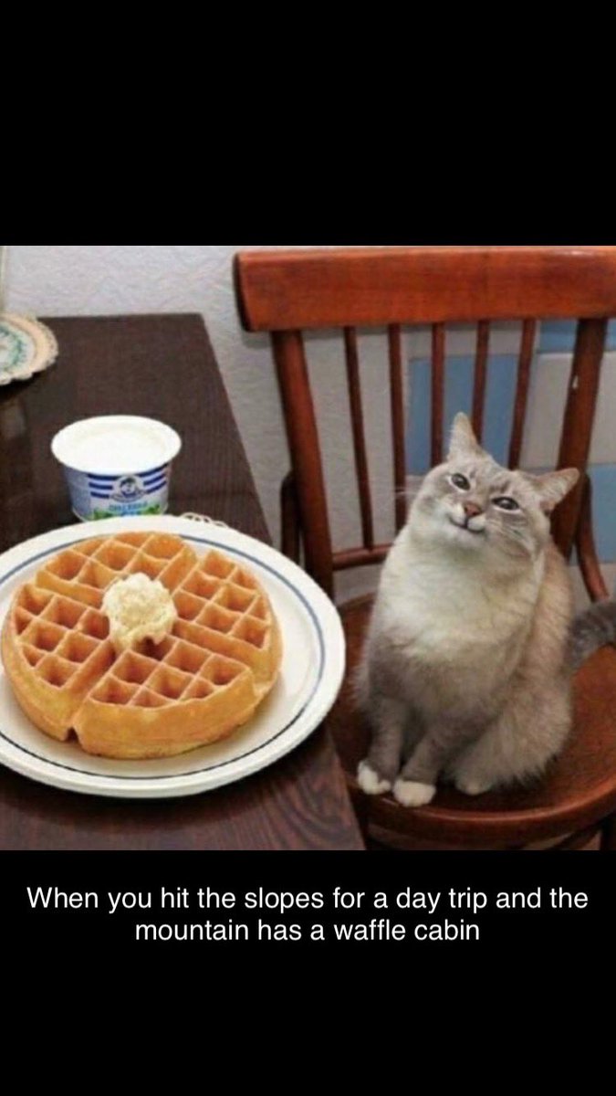 jonjontampon's tweet photo. @wafflecabin me rn https://t.co/UQRiYLboI9