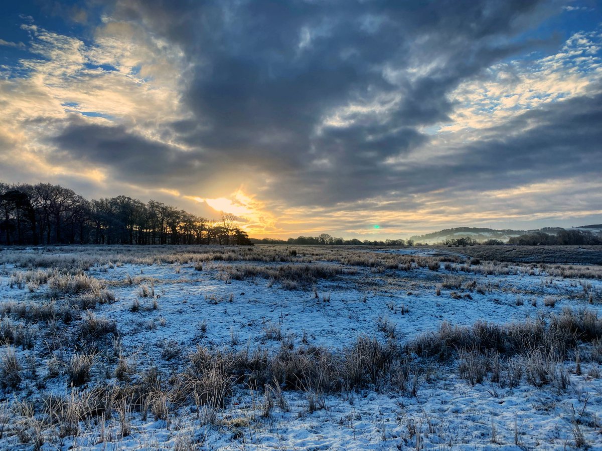 Richard Few tweet media