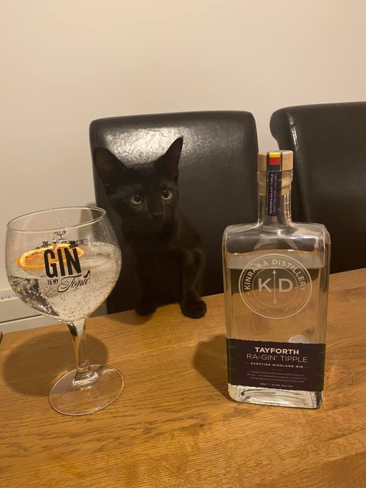 TayforthRegAssn's tweet photo. Delighted to confirm sightings of batch #1 of our exclusive Tayforth RA-Gin' Tipple.

It's been such a success, we are extending our introductory offer meaning RA Members can get their very own bottle for just £29.95 + P&amp;P.

#slàintemhath #tayforth #tuotc #gin #hogmany #happy2021 https://t.co/PJOhCHTg8H