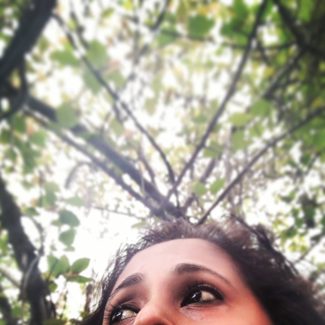 itsmesabita's tweet photo. Nature has all the answers. Just a matter of being in the moment and observe. 

#life #calmness #blessedfeeling #trees #peace #soul #lifeisgood ♥️ https://t.co/IuqBhghJ1Z