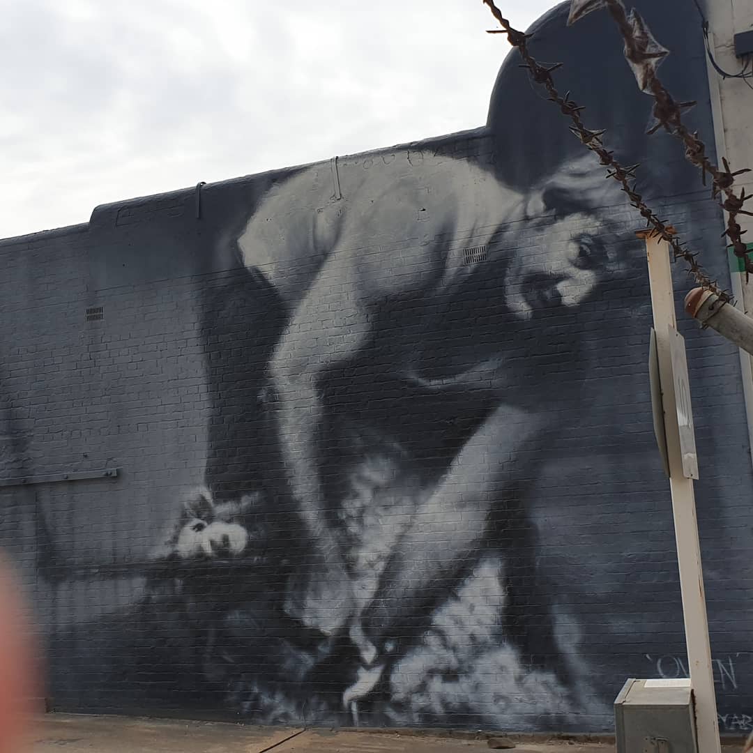 Rebekah Lowe tweet media