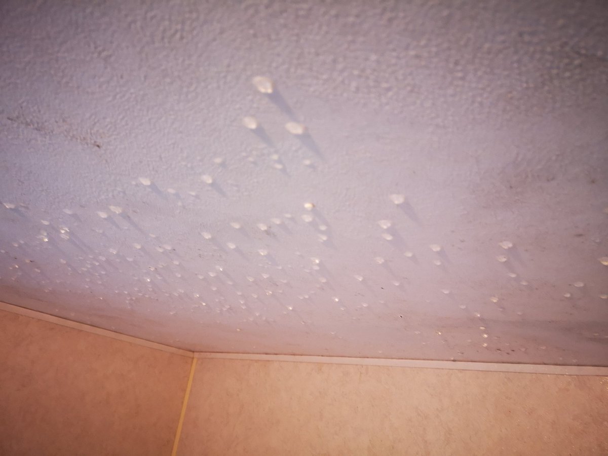 Wildster's tweet photo. Icicles on the ceiling of the bedroom this morning in the caravan! ❄️❄️#selfbuilding #characterbuilding #rollonspring #passivehouse #ecobuilding https://t.co/uimcEksicG