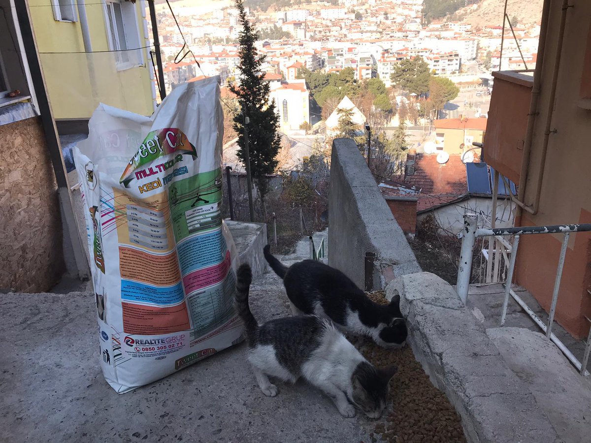 Sevimli dostlarımız bize emanet. 🐈🐶🐕
Sokağa çıkma kısıtlamasında can dostlarımızı yalnız bırakmıyoruz. 😊
📌Sizler de kapınıza koyacağınız #birkapSu ve #birkapMama ile onları mutlu edebilirsiniz. 🥣