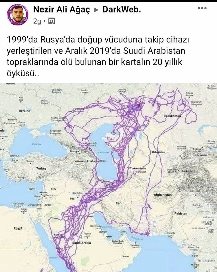 Krala bak Türkiyeye hiç uğramamış üstüne hacca gidip gelmiş