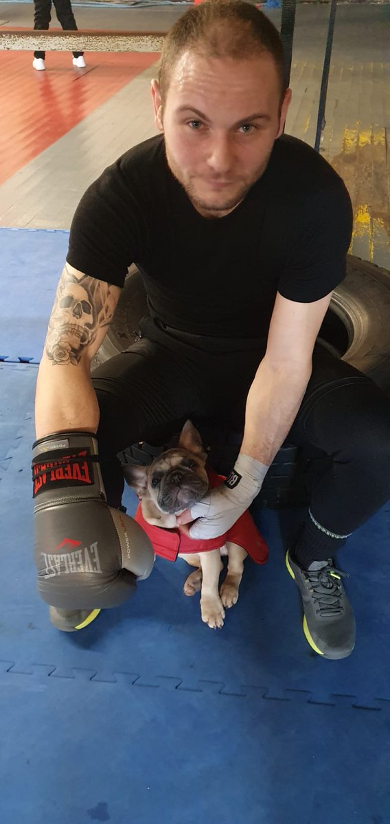 benrea41's tweet photo. Mans best friend 😎🥊 https://t.co/FQFcuXGTUD