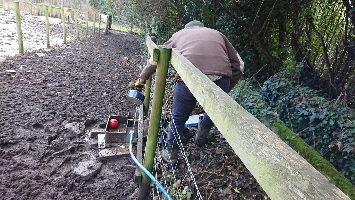 LoxleyFarm's tweet photo. Our kettles have stood idle since March as we've asked volunteers to bring their own drinks but here we are putting them to good use defrosting the pig water! https://t.co/nZ5hANaBrk