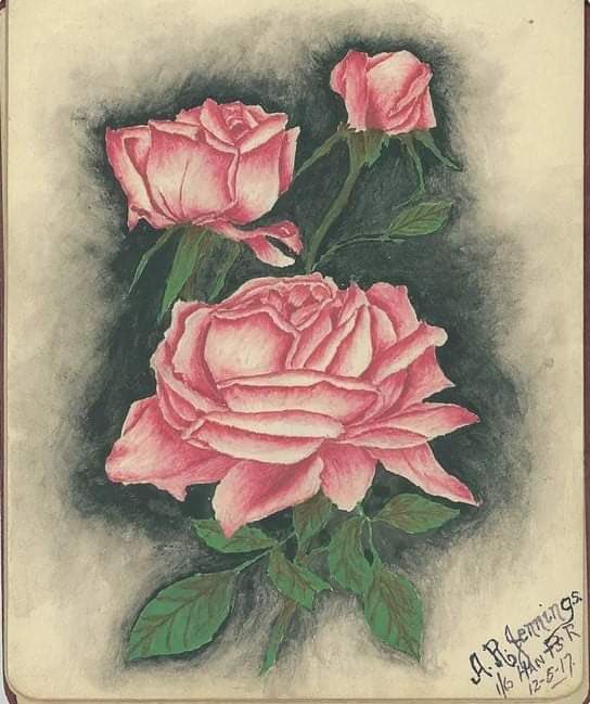 and in Mesopotamia; but they all wound up under Katie's care, whether in England, on a Hospital Ship or at Cumballa War Hospital in India. Fresh from the frontline and confined to their beds suffering from shellshock, disease and amputation. The standard of their drawing is