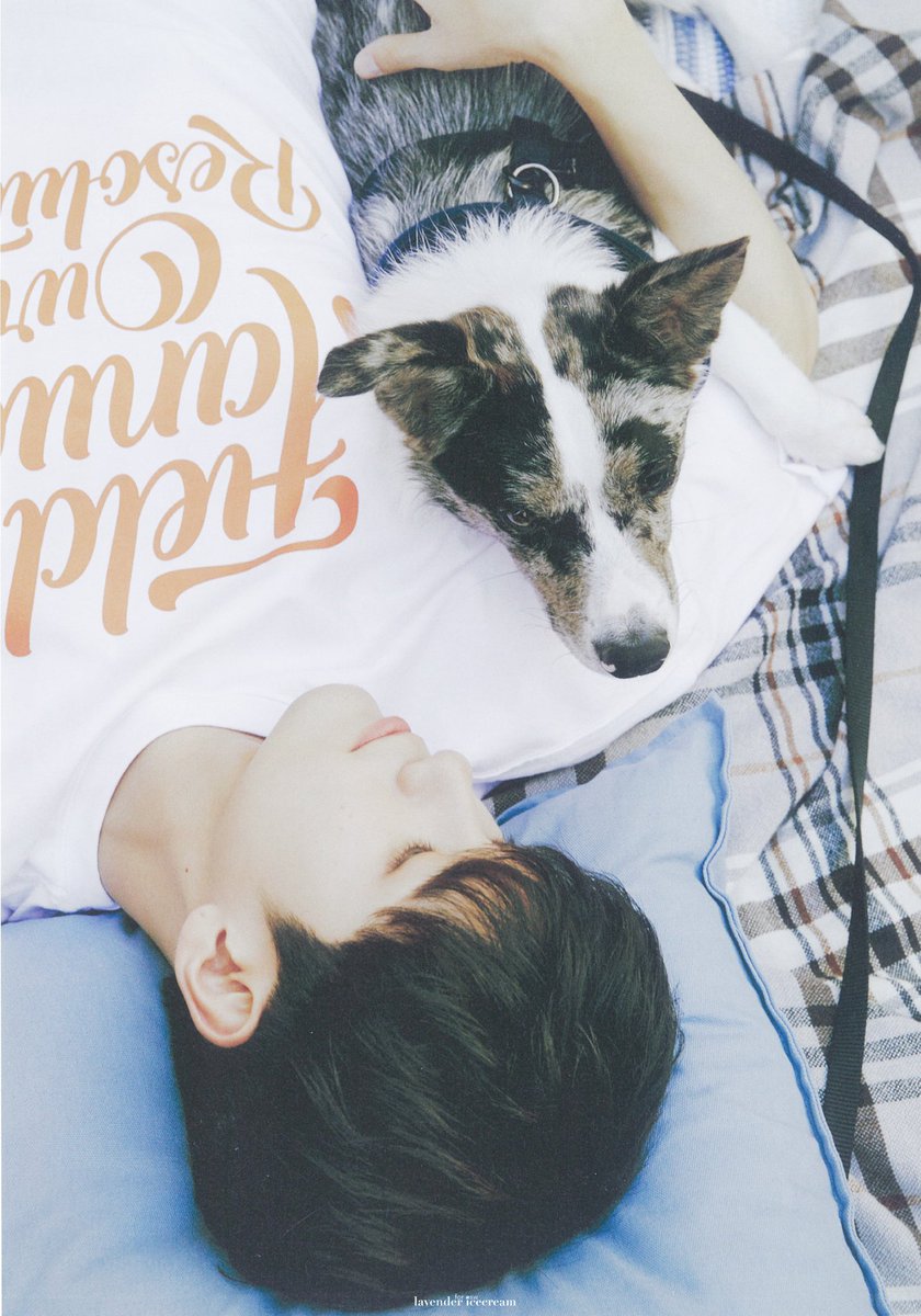 lavender_osw's tweet photo. 위로 2기 팬클럽 키트 포토북

#옹성우
#ONGSEONGWU https://t.co/JqrzhsLkN2