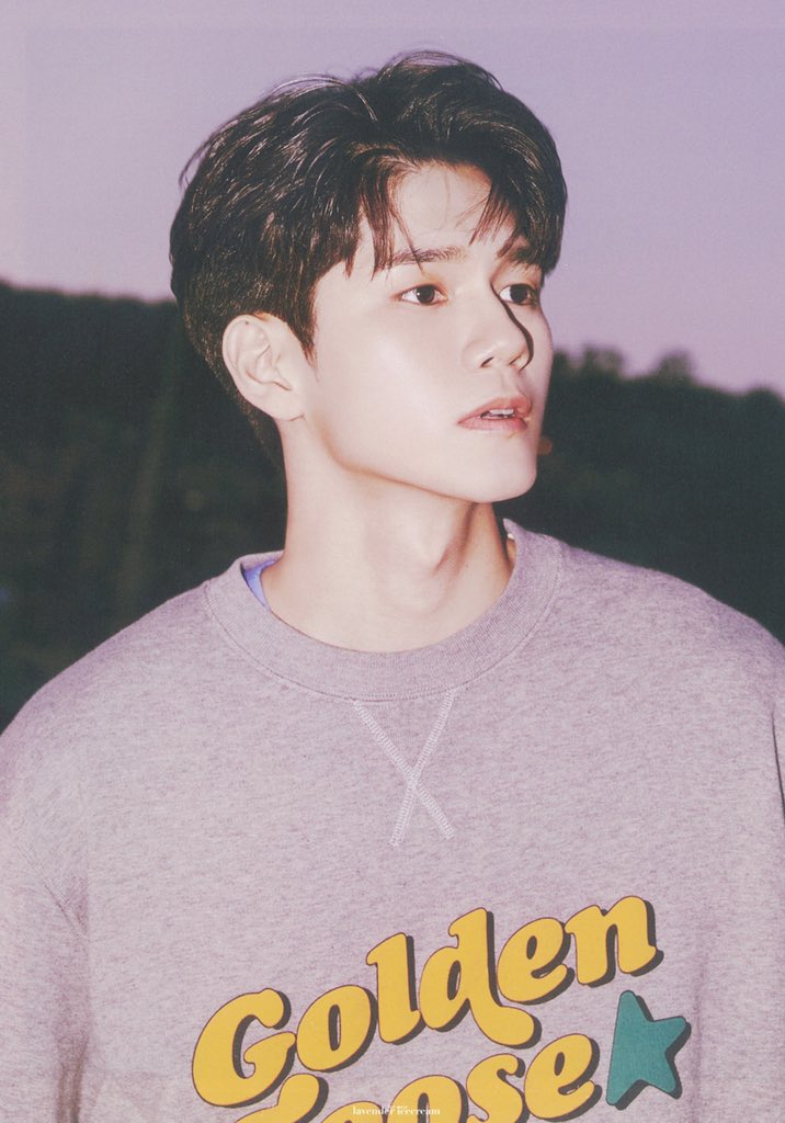 lavender_osw's tweet photo. 위로 2기 팬클럽 키트 포토북

#옹성우
#ONGSEONGWU https://t.co/XDBUfJhdB6
