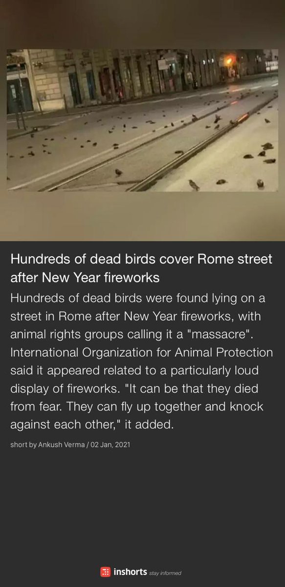 People say they care. Is this the best? Our celebrations should reflect delight, not misery. This is truly shameful. Amidst our own joy, we forgot about others. Think twice. 
shrts.in/D9nd