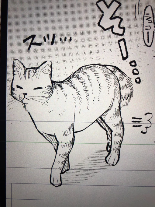 イチオシの猫ちゃん 