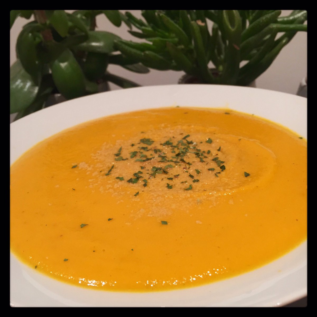 theveganmark's tweet photo. Cream of carrot and ginger soup #vegan #organic #veganism #veganfood #veganuk #plantbased #dairyfree #nutrition #crueltyfree #compassionateeating #whatveganseat #healthy #healthyeating #foodporn #vegetarian #animalfree #EatForThePlanet #food #poweredbyplants #veganfood https://t.co/2Sa7VVDfcK