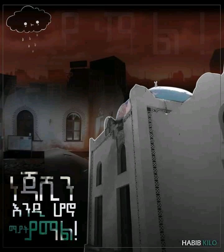 Hanan Abrar (@hananabrar5) on Twitter photo 