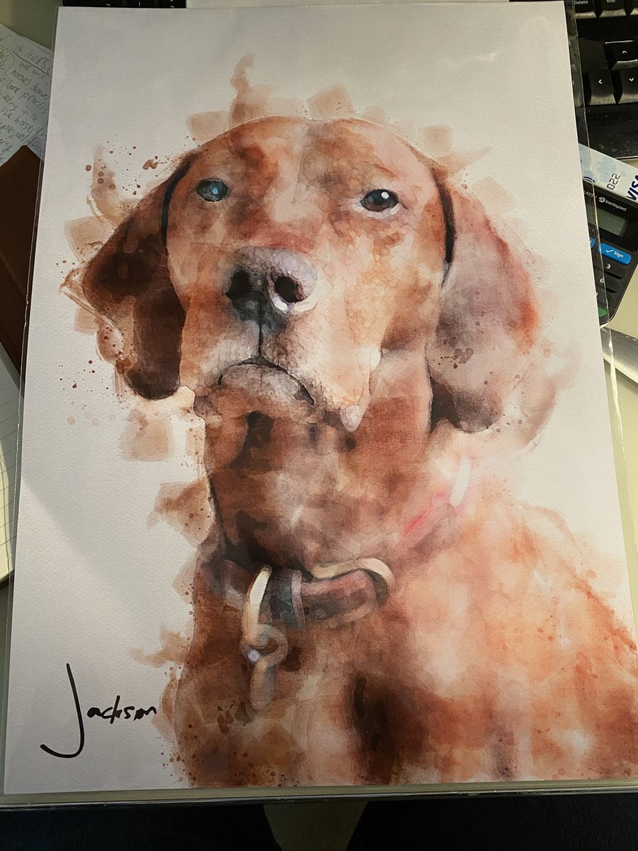 Woody2402's tweet image. Massive thank you to Amy @repton_design for producing this for me to give to Claire at Christmas. He hasn’t got long with us, so tears in the Wood household but will be happy to always have this. Love it.