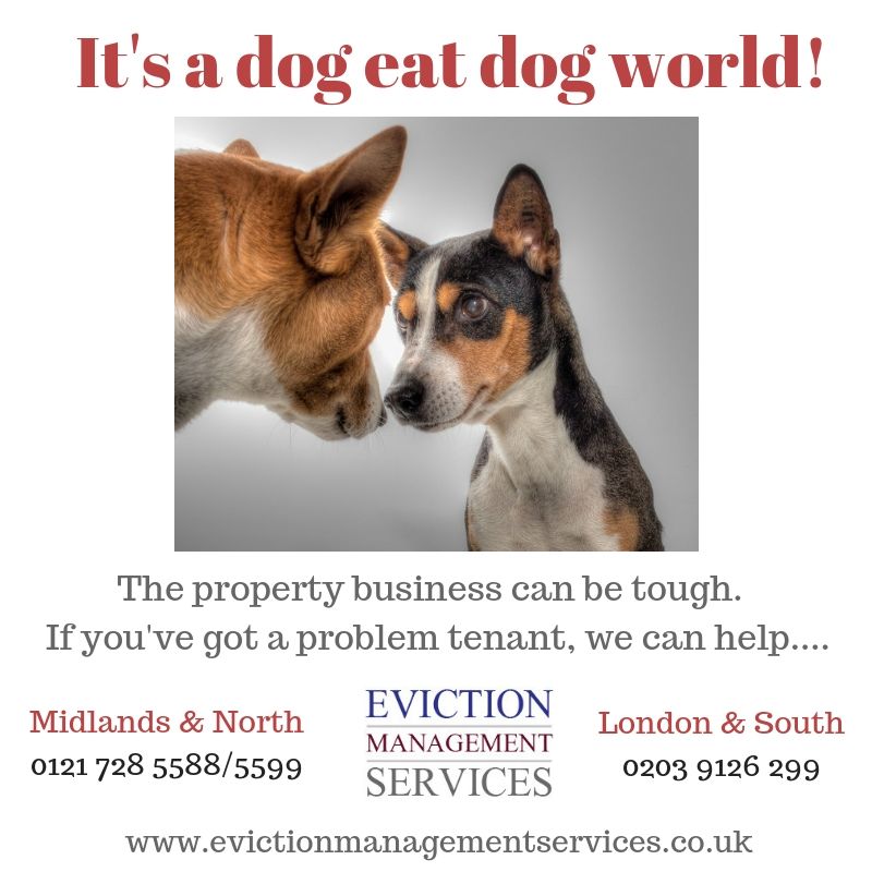 EvictionHelper's tweet image. #problemtenant #tenanteviction #evictatenant #evictionservice