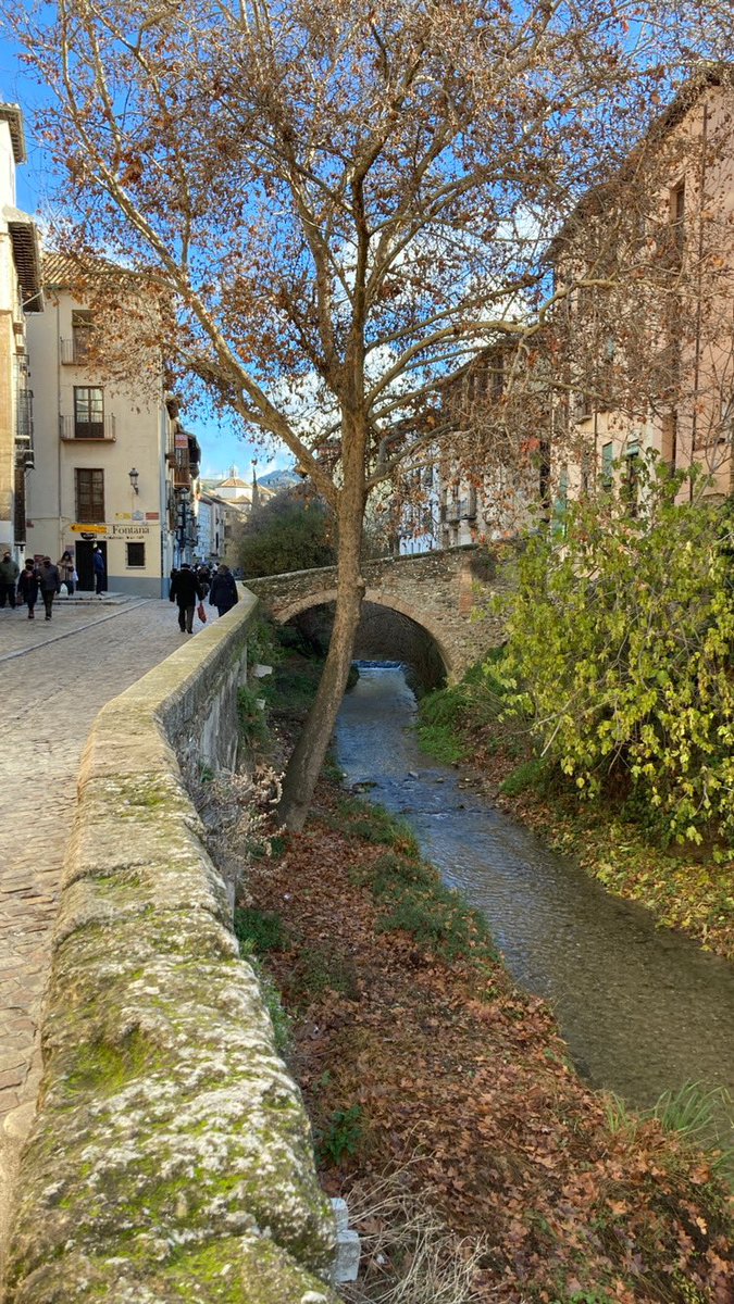AnaaTitos's tweet photo. Piensa en la calle más bonita del mundo: https://t.co/sr2tB9lDRr