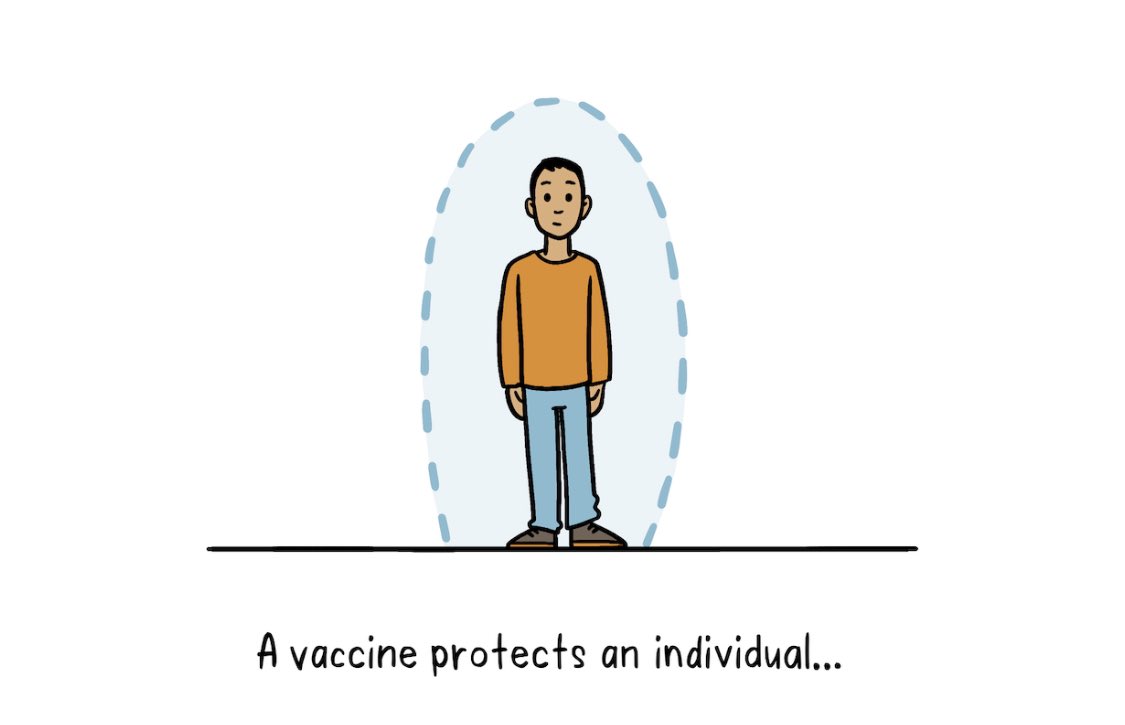 A  #vaccine or  #vaccination program depends upon many people getting  #vaccinated for  #COVID19 to help stop the spread of the  #coronavirus. One person who takes both doses of the  @moderna_tx or  @pfizer  #mrna vaccine will be about: 95% less likely to be infected & very sick. 5/
