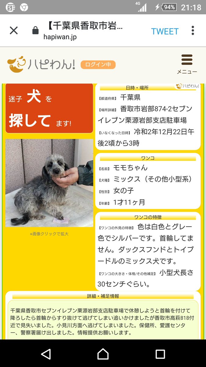 21年01月02日の注目ツイート 2ページ目 メガとんトラック