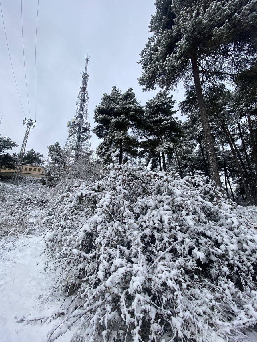 xeviserrano1's tweet photo. 😍❄️ https://t.co/q48JYVlYnq