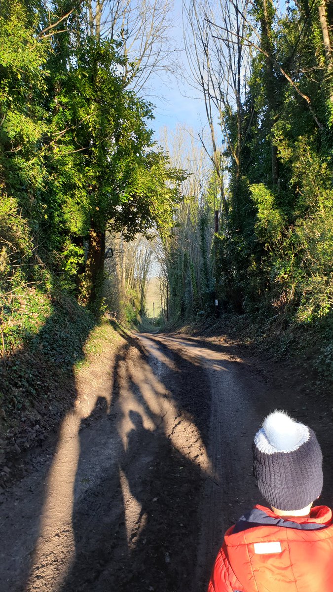 Wiltsgal's tweet photo. Went on a mini adventure and discovered a new plaice to walk with views across to Old Sarum. Must wear wellies next time not trainers #CoveredInMud https://t.co/qcUQZPcetd