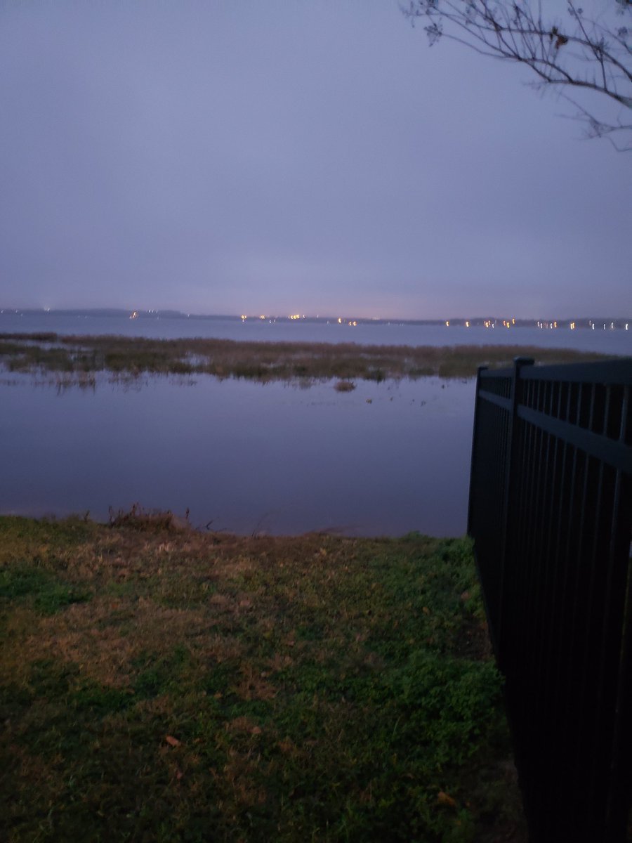 Good morning everyone! The sun is coming up through a foggy morning on the trail. Hope this Saturday is clear and enjoyable for you!