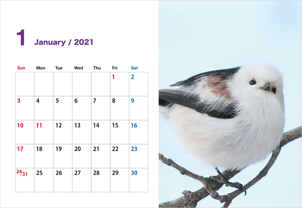 Uzivatel ぼく シマエナガ Na Twitteru いつもの特典にプラスしてミニカレンダーを新春プレゼントしてるよ 対象は ぼく シマエナガ T Co Swwt81p8jw 空飛ぶ豆大福 T Co Bwksavctyt 21卓上カレンダー T Co