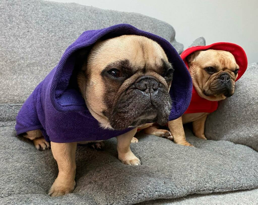 Stephen Rush tweet media