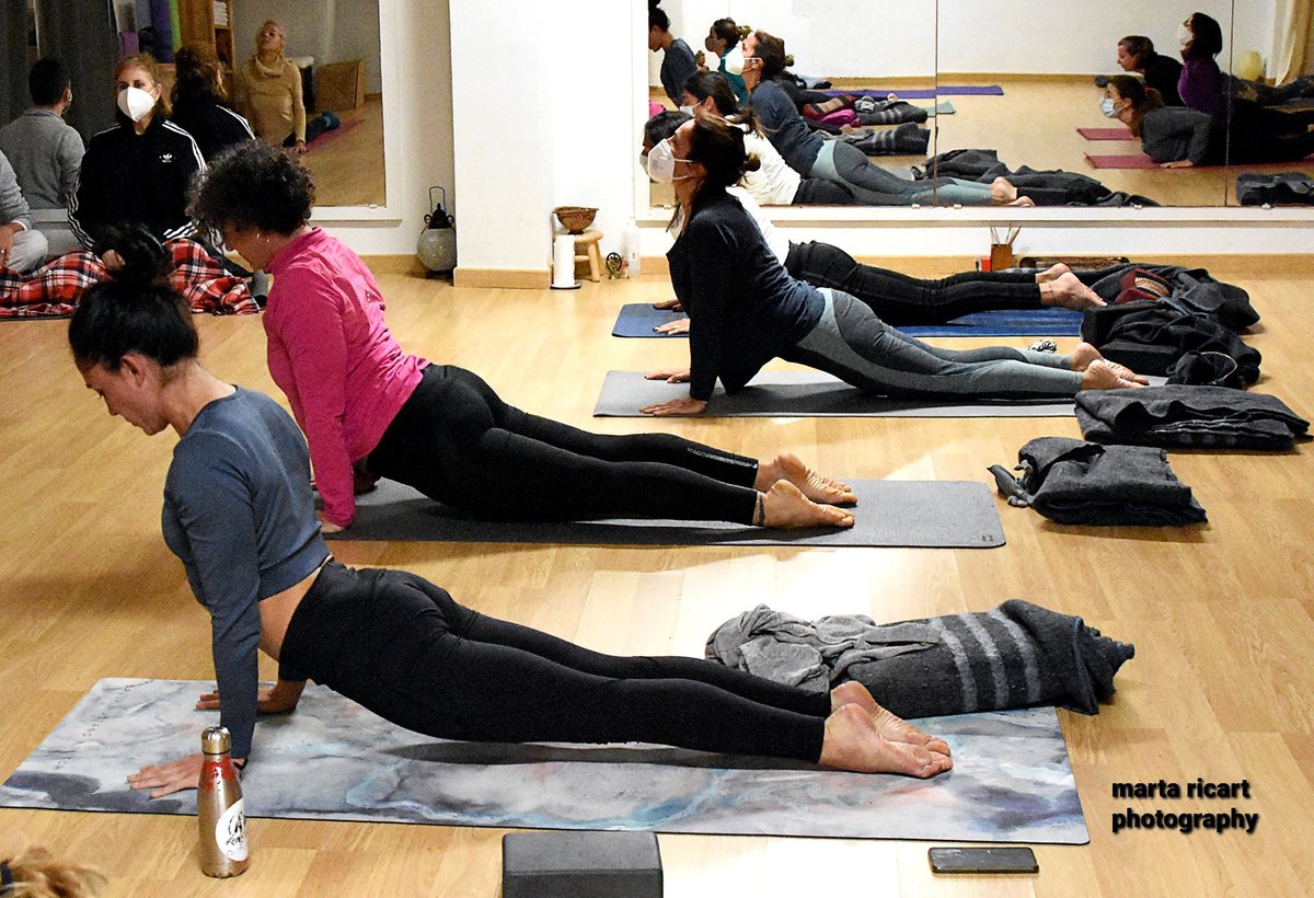 martaricch's tweet photo. #ioga #yoga #yogapractice #asana #photo #photography #photooftheday #photographer #photograph https://t.co/m3gwoHT4s5