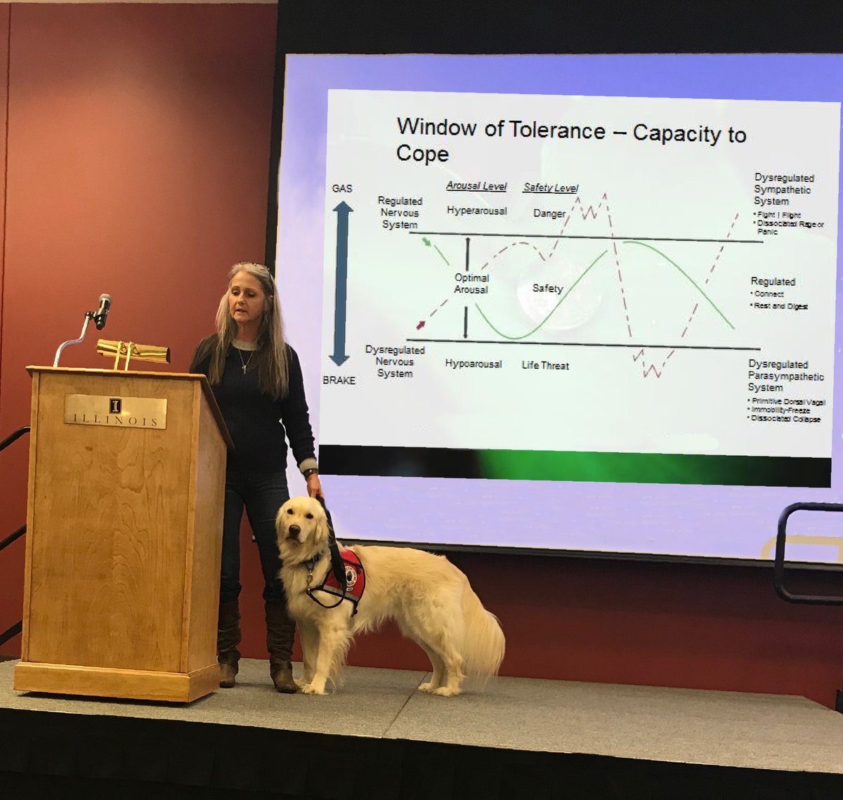 Thread: Pre-COVID we gave a lot of in-person presentations at conferences/invited talks. It is essential I'm there so I can do my job. These venues are not always accommodating for Service Dogs (SD).  #DisabilityTwitter  #AcademicTwitter  #science  #Dog  #Disability  #accessibility