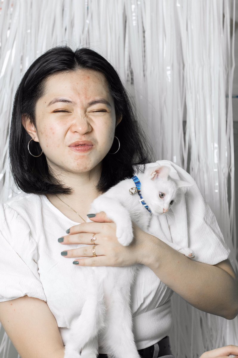 ˗ˏˋ dan ˎˊ˗ tweet media