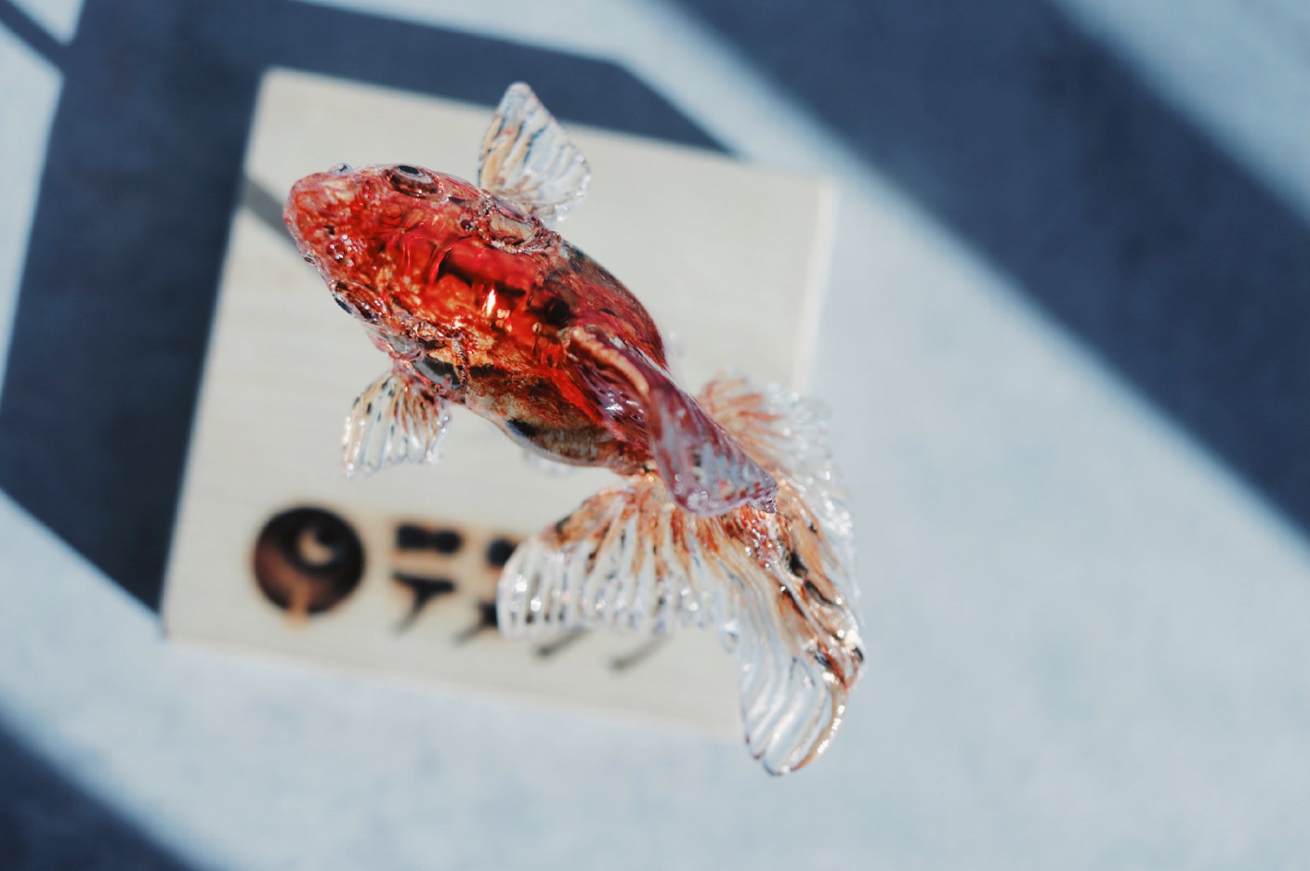 تويتر Tomei 透明愛好家 على تويتر 食べられる透明な金魚 アメシンの職人が手がける金魚 の飴を手に入れたのですが素晴らしすぎませんか 水槽のない部屋で広々泳ぐ金魚の姿は美しい T Co Pgtmwogohm