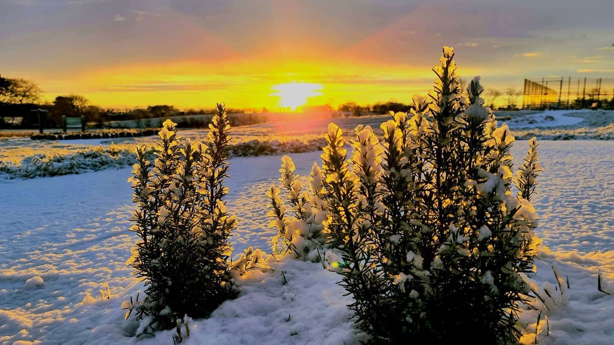 LoveBallymena's tweet photo. Sunrise from the Ahoghill park on the last day of 2020. 

📸 Andrew Finn https://t.co/MUSNUxlC0v
