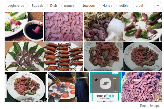 17. Not Bats. Mice! 三叫鼠1.  https://zhidao.baidu.com/question/2073994894128672428.html ( https://archive.vn/wip/zbq79&nbsp;) 2.   https://zh.wikipedia.org/wiki/%E4%B8%89%E5%8F%AB%E9%BC%A0 ( https://archive.vn/Yzf6M&nbsp;)3. so-called dark dish "San Zhier". Is this dish really available? Or is it just a rumor? https://www.zhihu.com/question/61246612 ( https://archive.vn/wip/ZZUlP&nbsp;)