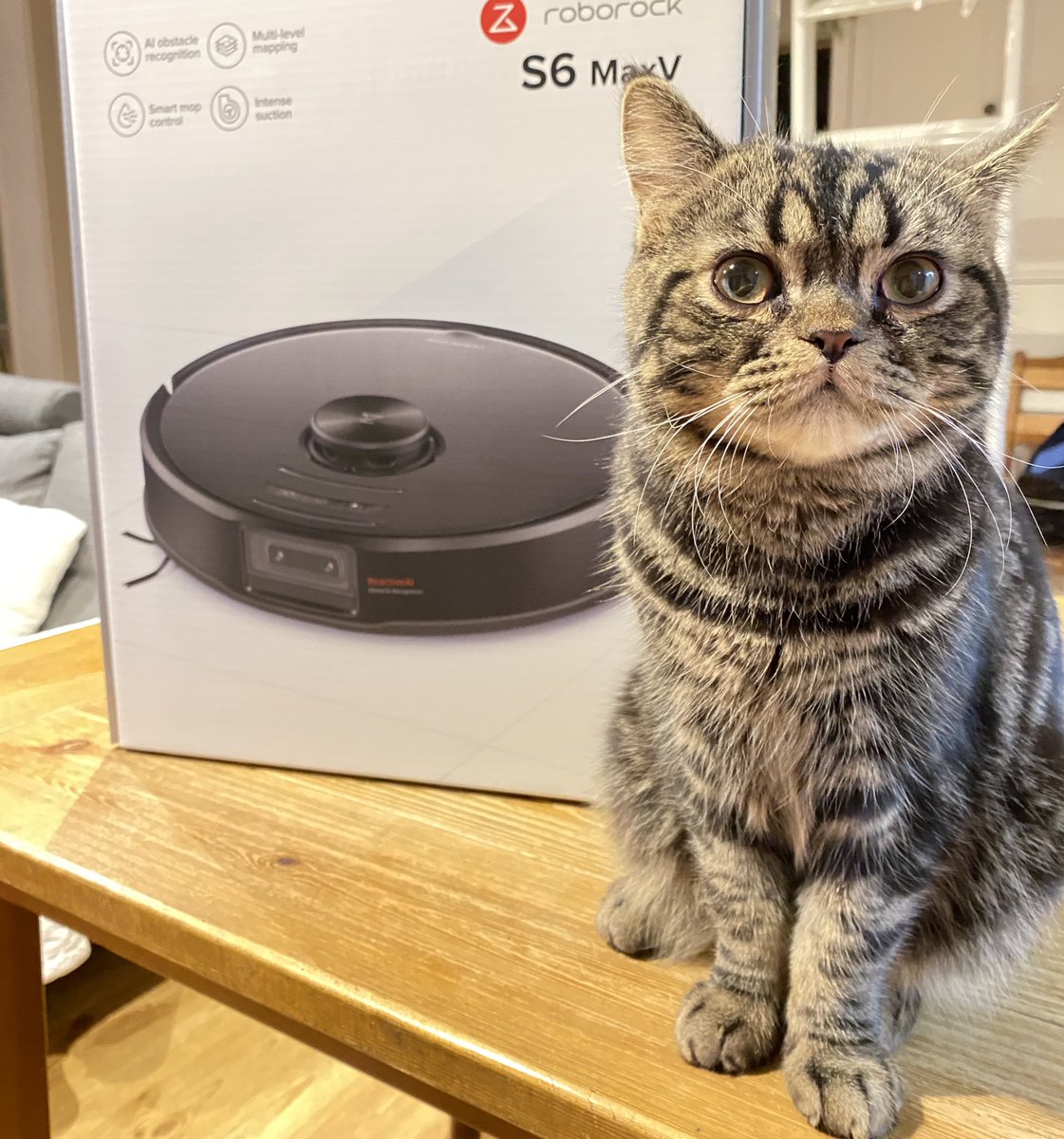 mazutaro's tweet image. 🌈アメトーークの家電芸人を観てから欲しくなり、ヤマダ電機の初売りで買った。アプリを使って出先での遠隔操作はもちろん、カメラから留守中の家の様子も自由に見れる。スマホから話しかけると音声も送れる！ペットのいる家庭には最適すぎる！
 #roborock  #roborockS6MaxV  #お掃除ロボット