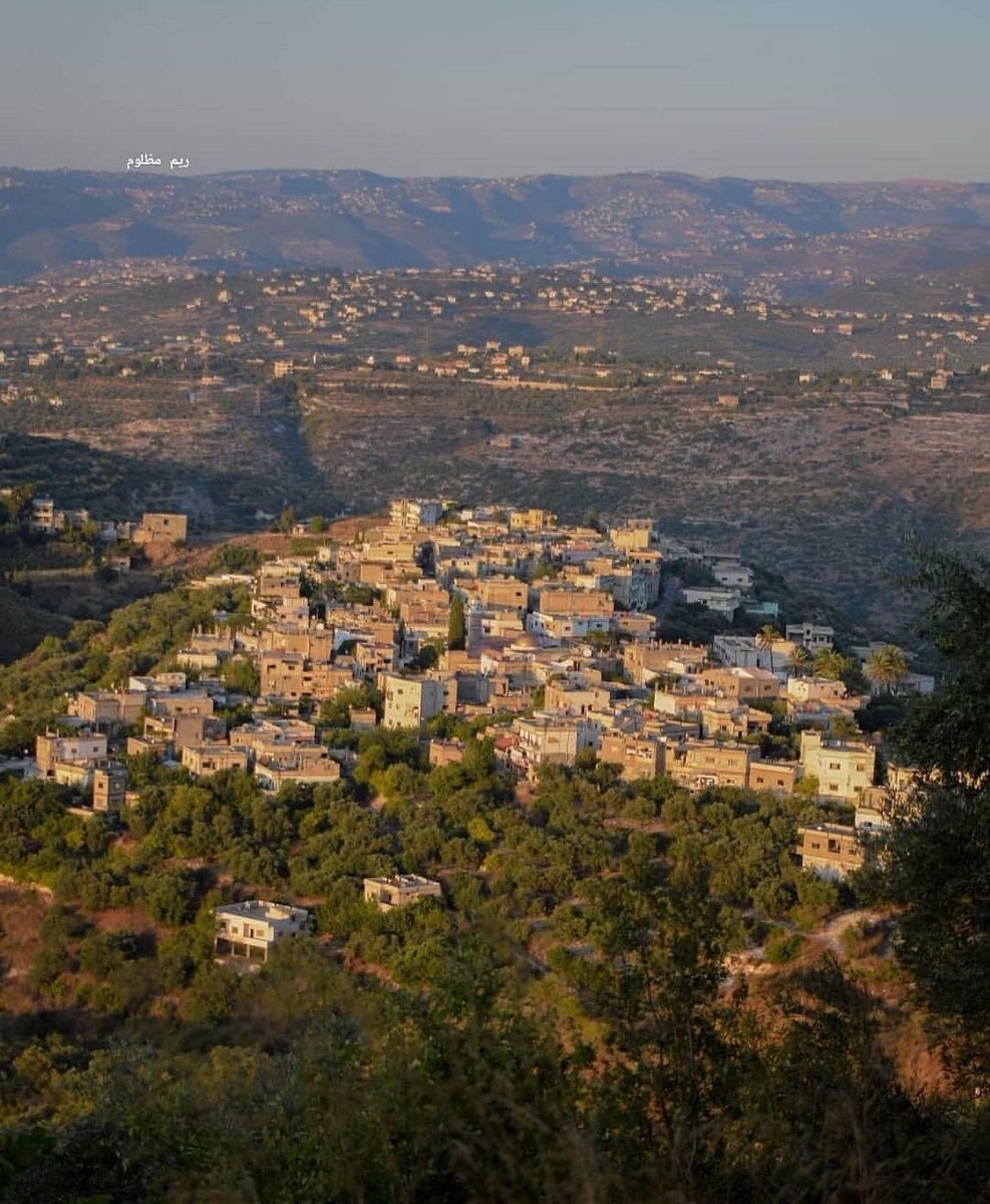 Baniyas | بانياس

Reem Mazloum📸