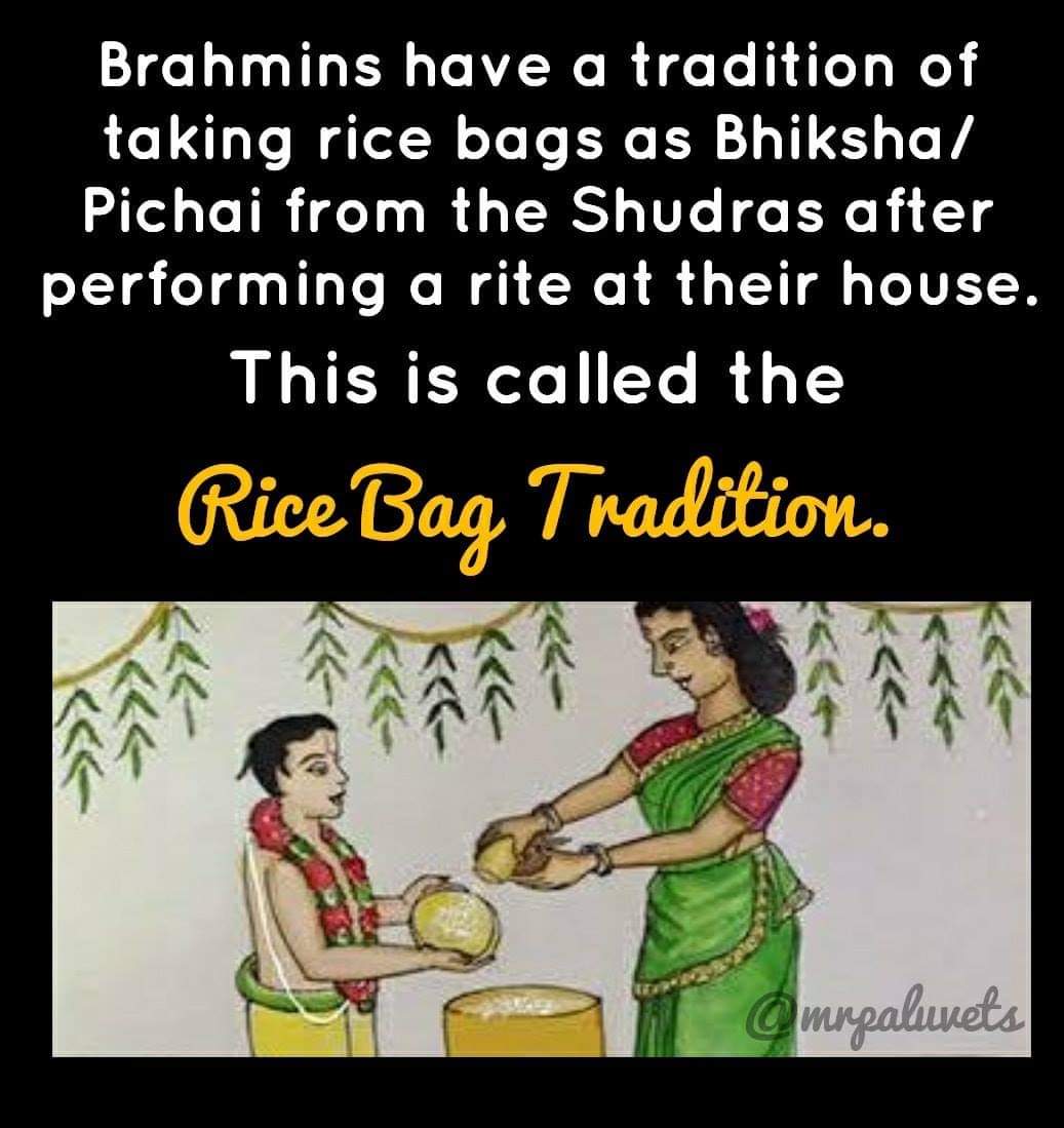 TheRealHindust2's tweet image. Rice bags ..a perfect name for them
