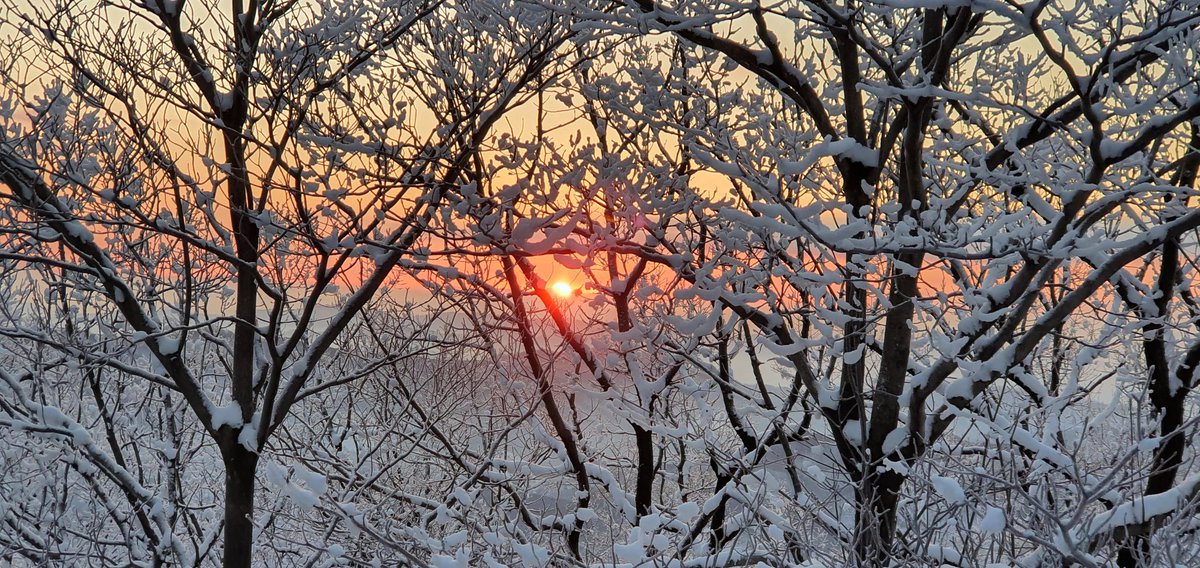 2021년 광덕산 일출