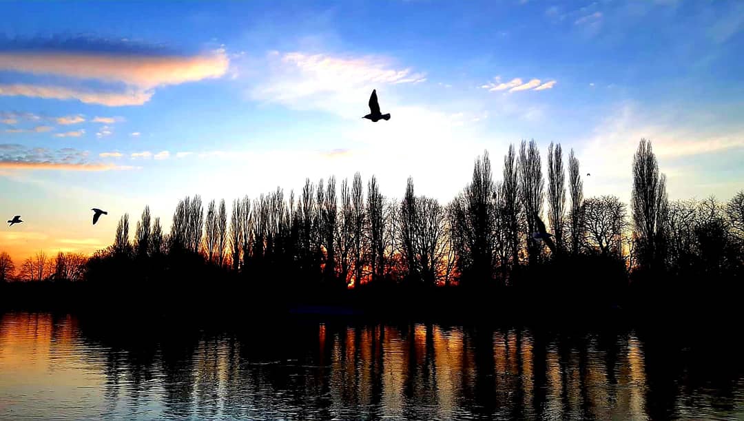 andycraddphotos tweet media