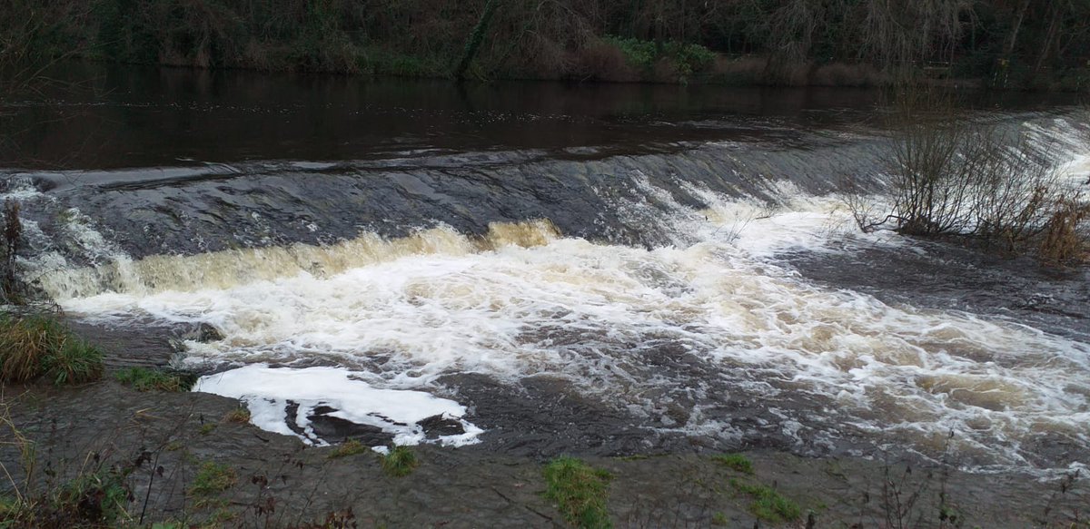 Remembering Ian today. An example of some walks today in his memory, unfortunately our Glendalough walk had to be postponed.