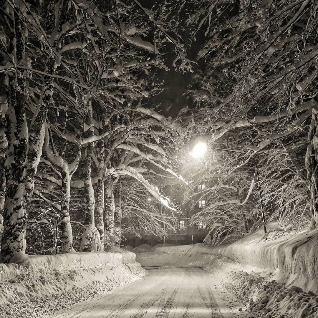 alexjajapoli's tweet image. 📸 1 Gen sera 📷 2 Gen mattina 🏔️🌨️❄️☃️🎿🏂☃️❄️🌨️🏔️  Nevicata Record 🥶😱🥶 #recordsnowfall #mountains #snowphotography #whitedays #genuary2021