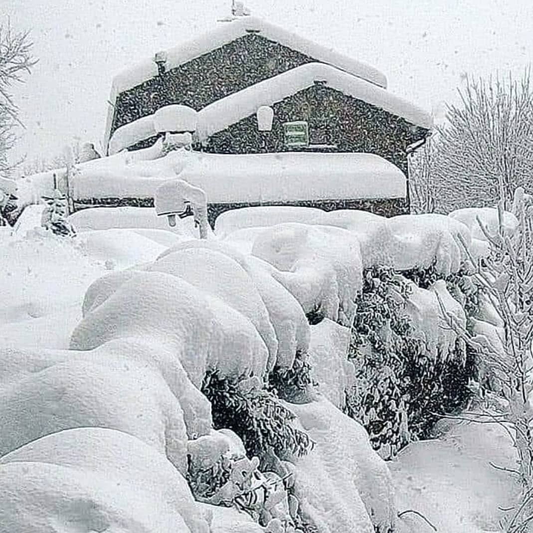 alexjajapoli's tweet image. 📸 1 Gen sera 📷 2 Gen mattina 🏔️🌨️❄️☃️🎿🏂☃️❄️🌨️🏔️  Nevicata Record 🥶😱🥶 #recordsnowfall #mountains #snowphotography #whitedays #genuary2021