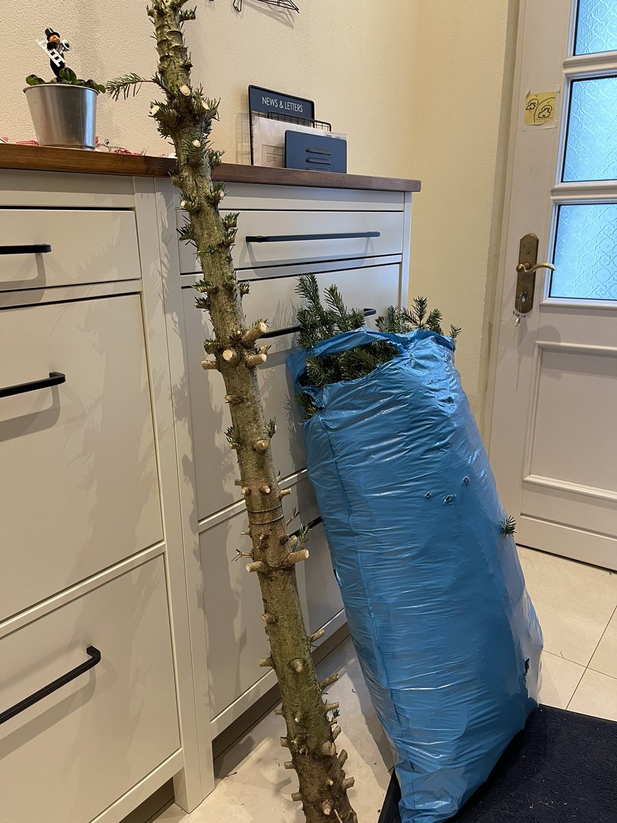 Bei der Auslieferung von Weihnachtsbäumen wird viel unnötige Luft transportiert. Durch eine effizientere Gestaltung (nur wenig Selbstmontage erforderlich!) ließe sich viel CO2 einsparen!