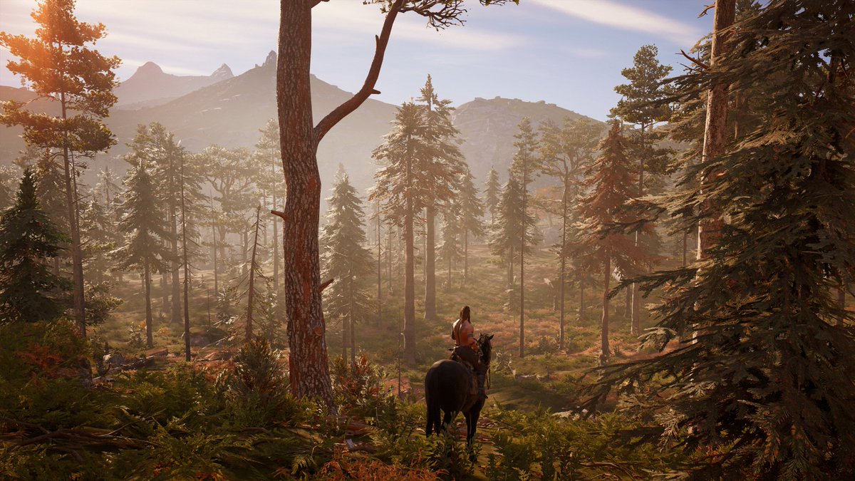 daytonbrokensha's tweet photo. Wilderness #AssassinsCreed #Valhalla #Photomode #VirtualGamingPhotography #VGP #PS4share https://t.co/W2flq4aNDi