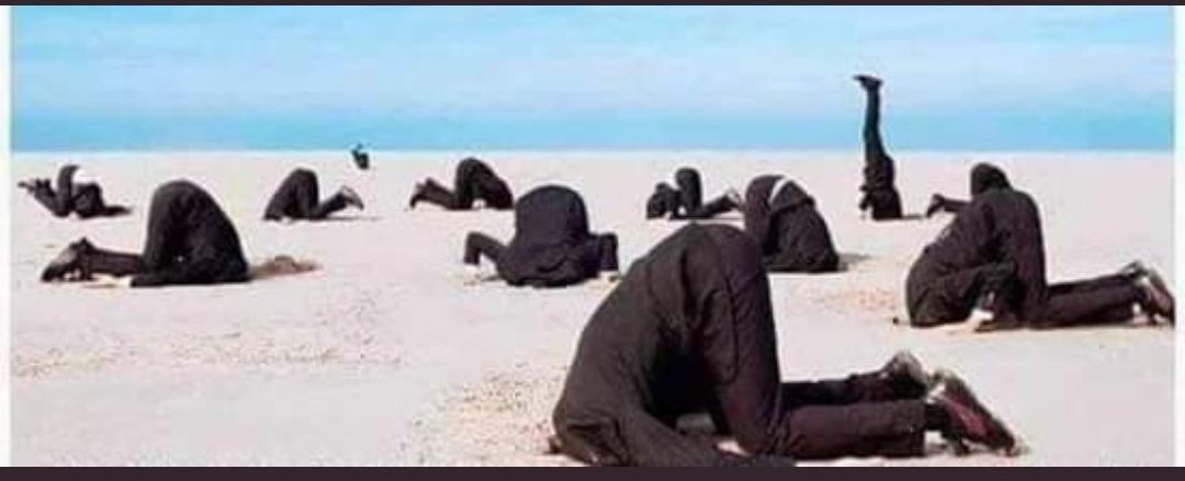 Ben bu konuda kimler twit atması gerekiyor diye düşünürken twit atması gereken yetkililer... 
<a href="/_aliyalcin_/">Ali YALÇIN</a>
<a href="/ebskadin/">Eğitim-Bir-Sen Kadın Komisyonu</a>
<a href="/EgitimBirSen/">Eğitim-Bir-Sen</a>
<a href="/TalipGeylan06/">Talip Geylan</a>
@TurkEgitimSen
#memurayüzde21zam