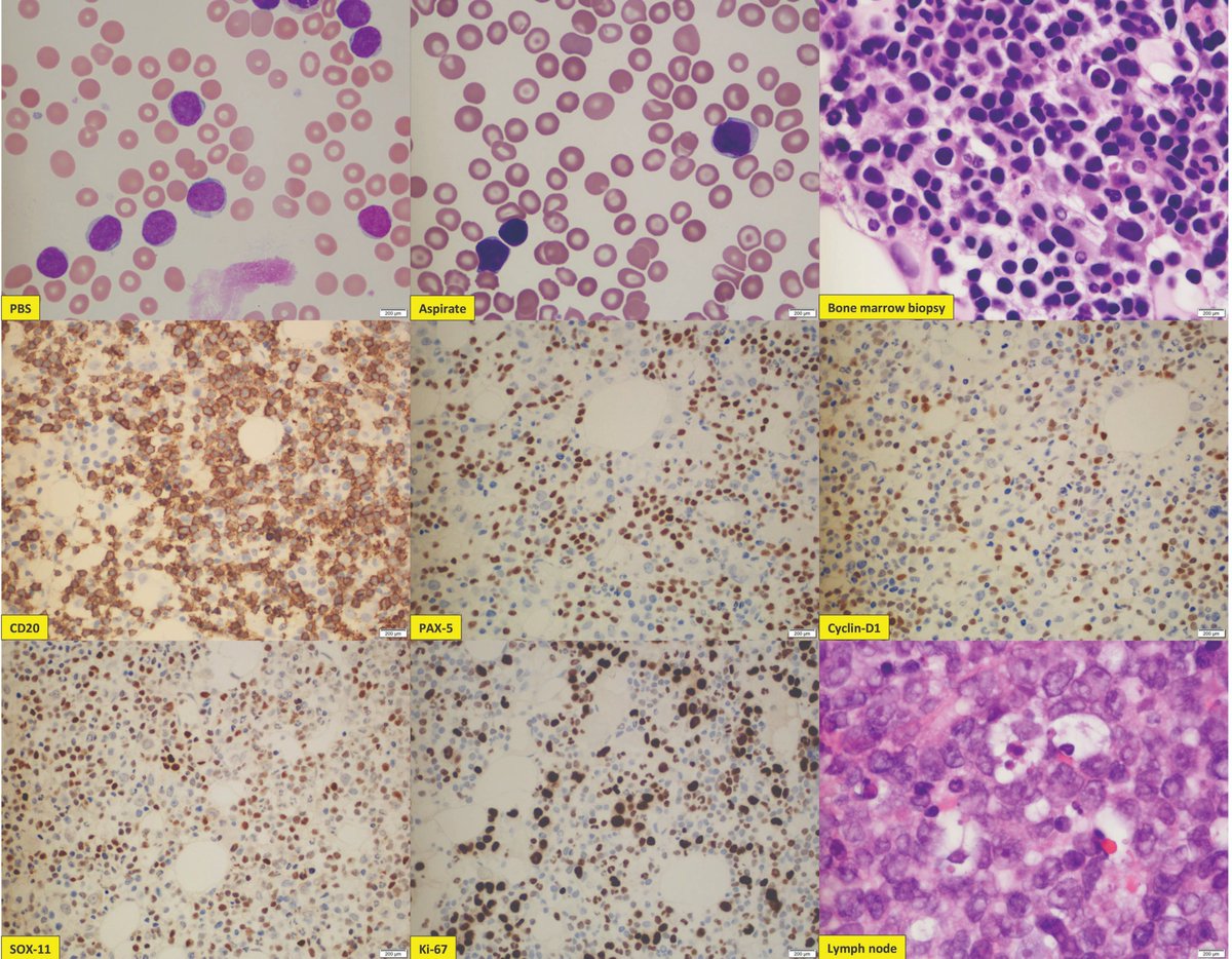 Mahsa Khanlari tweet media