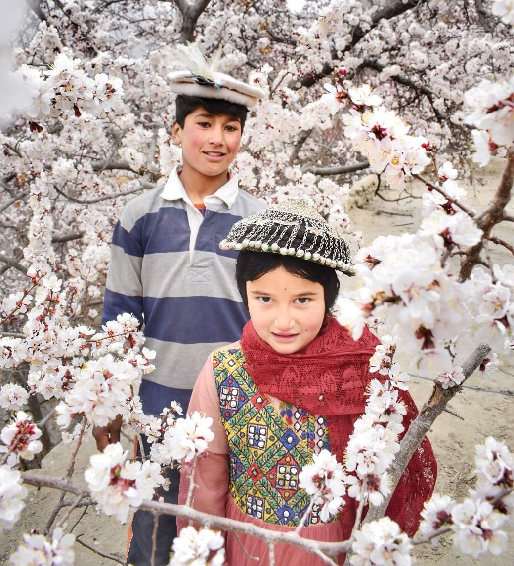 PakistanNature1's tweet photo. APRICOT bloosom #GilgitBaltistan #BeautifulPakistan #PakistanMovingForward #TourDePakistan https://t.co/FyEJoIdhEq