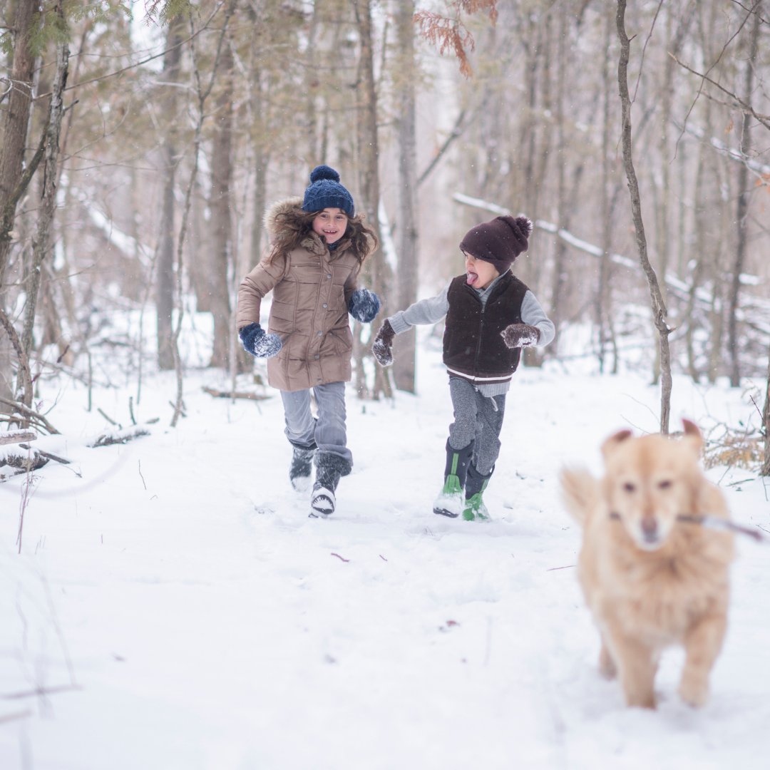 MySckool's tweet photo. Happy Holiday!!
#socialskills #languagedelayed https://t.co/Pjq7HgVPE7