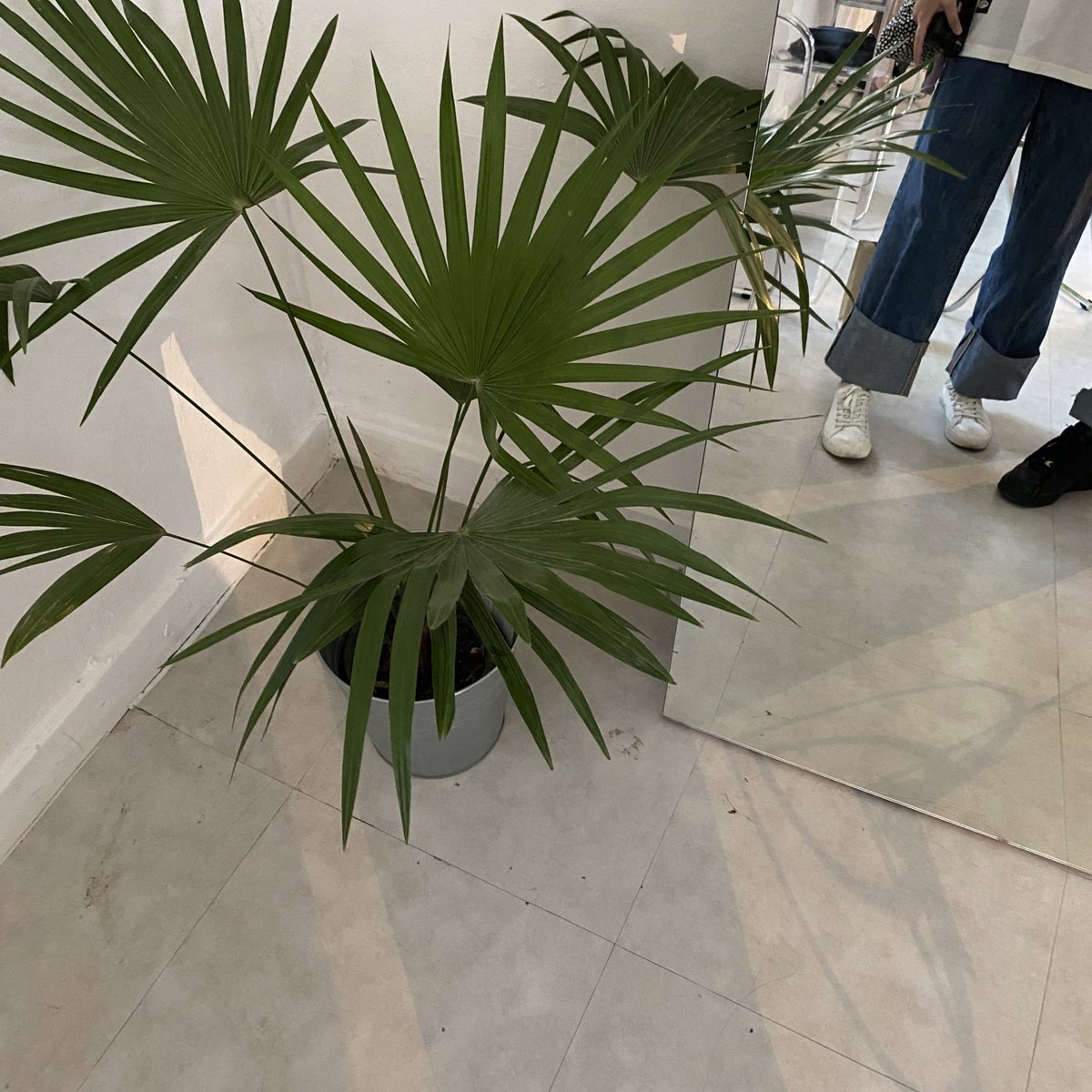 MTCH รอบที่สอง ร้านใหญ่ขึ้นเยอะเลย 💚